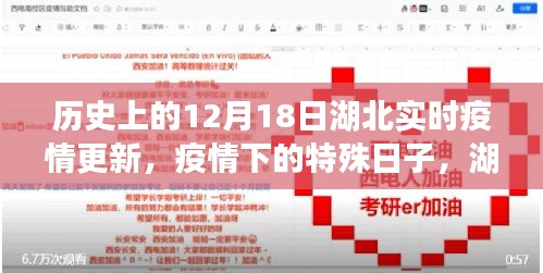 湖北疫情纪实，历史上的特殊日子，湖北实时疫情更新纪实（12月18日）