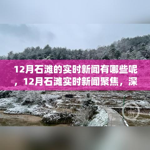 12月石滩最新实时新闻聚焦，深度解读与观点阐述