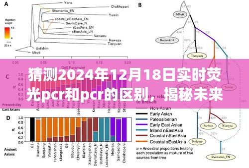 揭秘未来，荧光PCR与PCR的进化之旅，探寻技术与自然美景的心灵交融之道（猜测至2024年12月）