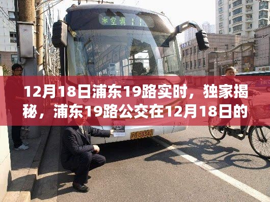 独家揭秘，浦东公交19路实时动态，12月18日浦东公交最新进展🚌追踪报道