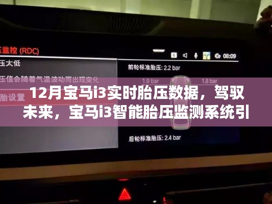 驾驭未来科技，宝马i3智能胎压监测系统实时数据引领新纪元