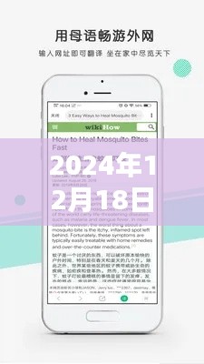 2024年实时屏幕翻译攻略，轻松掌握全球信息的必备技能