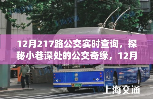 探秘隐藏小巷的特色小店，12月217路公交车带你发现奇缘之旅