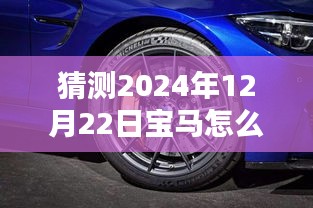 揭秘未来，预测宝马实时油耗调整技术走向，2024年宝马实时油耗调整指南