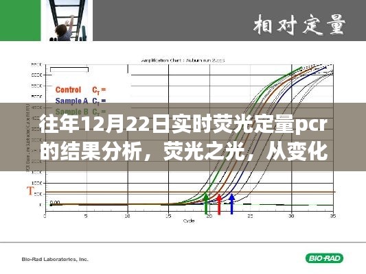 荧光之光，PCR结果分析与未来展望，塑造自信成就之路