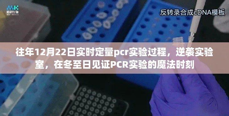 冬至见证逆袭实验室，实时定量PCR实验魔法时刻揭秘