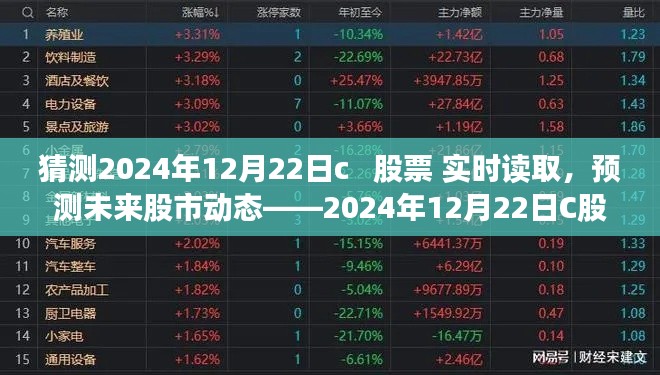 建议，揭秘未来股市动态，2024年12月22日C股票实时读取产品深度分析与全面介绍