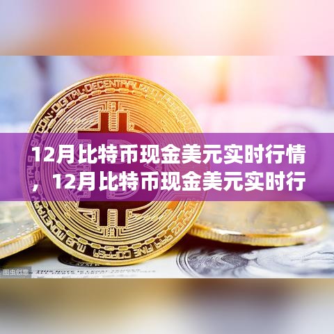 深度解析，12月比特币现金美元实时行情及市场走势与投资机会探讨