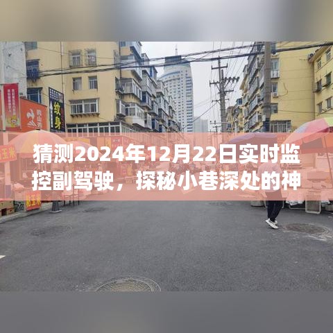 探秘小巷深处的神秘小店，副驾驶奇幻之旅的未知篇章（2024年12月22日实时记录）