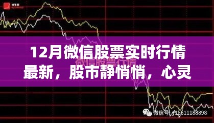 股市静悄悄，微信股票实时行情带你共赏自然之美