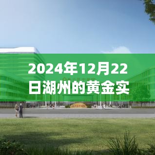 湖州黄金市场洞察，黄金实时价格分析与趋势预测（2024年）