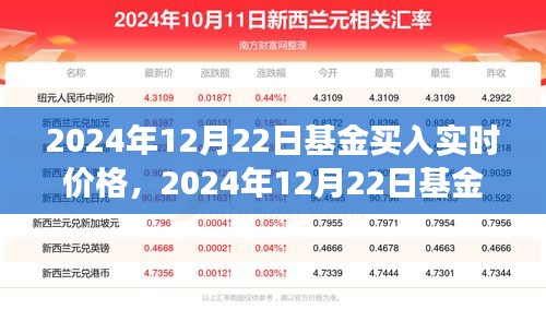 2024年12月22日基金买入实时价格的深度观察与分析