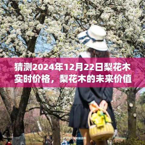 2024年梨花木价格预测，未来价值、学习变化与把握机遇，梨花木实时价格走势分析