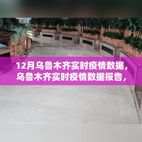 乌鲁木齐十二月实时疫情数据深度报告，深度解析疫情状况