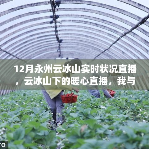 云冰山下的暖心直播，我与朋友们的冬日趣事实时播报