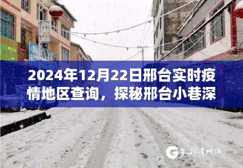 探秘邢台小巷深处的防疫特色小店，实时疫情地区查询指南（2024年12月）