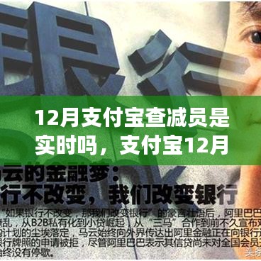 支付宝12月查减员更新实时性解析，是否实时查询功能揭秘