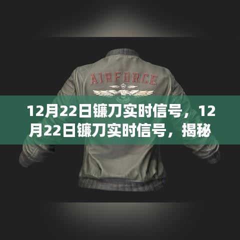 揭秘最新市场趋势与策略分析，12月22日镰刀实时信号详解