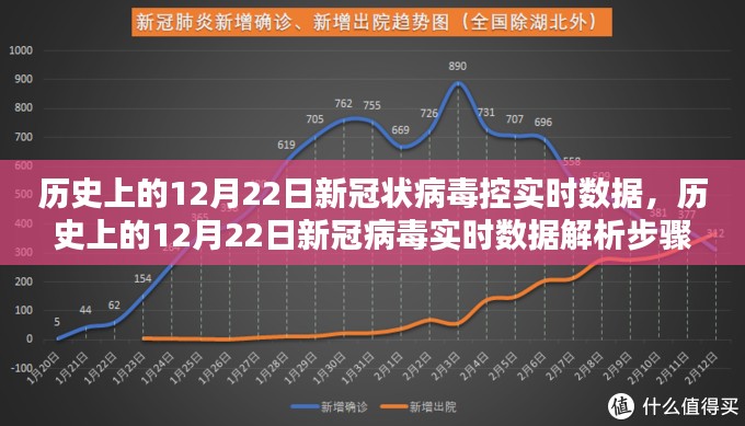 历史上的12月22日新冠病毒实时数据解析指南，初学者与进阶用户适用