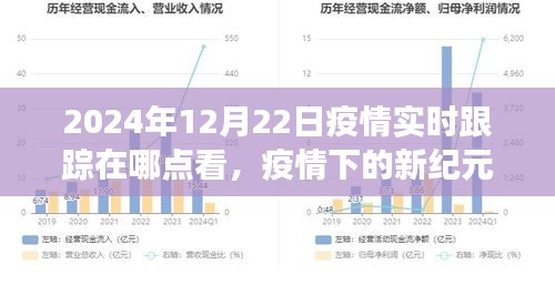 疫情下的新纪元，回顾与洞察疫情实时跟踪的历程与现状