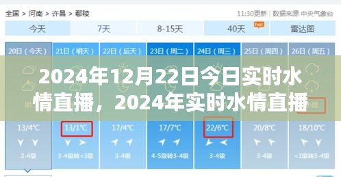 2024年实时水情直播系统全面评测，今日直播新体验