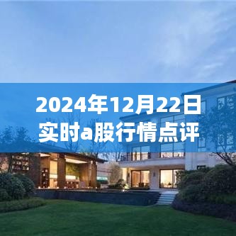 2024年12月22日实时A股行情深度解析，特性、体验、竞品对比及用户群体全面分析