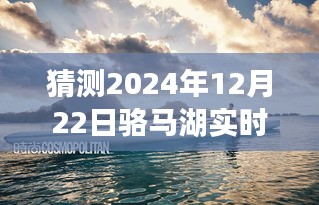 探秘骆马湖冬日的神秘面纱，预测骆马湖实时景象介绍图片揭晓日（2024年12月22日）