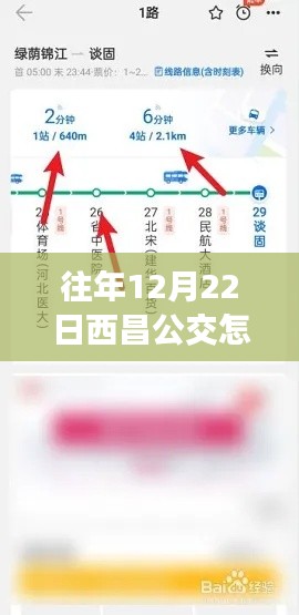 往年12月22日西昌公交实时查询攻略，方法与技巧探讨