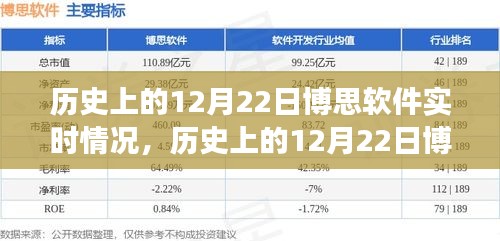 历史上的12月22日博思软件实时情况深度解析与探讨——从某某观点出发的视角探索