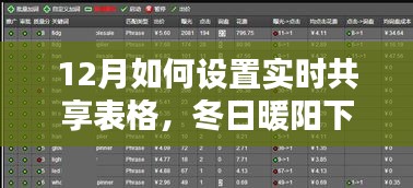 冬日暖阳下的实时共享表格，与好友共筑数据魔法的温馨日常（12月指南）