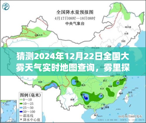 雾里探秘，追寻内心的宁静与远方——2024年大雾天气实时地图查询体验