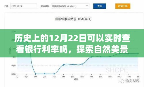 历史上的十二月二十二日，探索银行利率变化与心灵宁静之旅