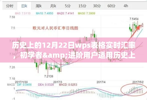 历史上的12月22日WPS表格实时汇率查询与操作指南，适用于初学者与进阶用户的教学指南