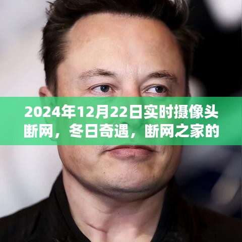 冬日奇遇，断网之家的温暖时光——实时摄像头下的断网记录