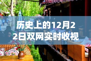 历史上的双网实时收视率揭秘，探寻小巷特色小店的背后故事，12月22日的秘密揭晓