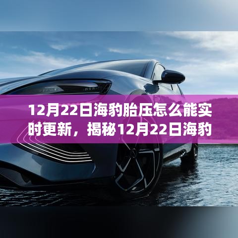 揭秘时代革新，12月22日海豹胎压实时更新背后的智能技术革新之路