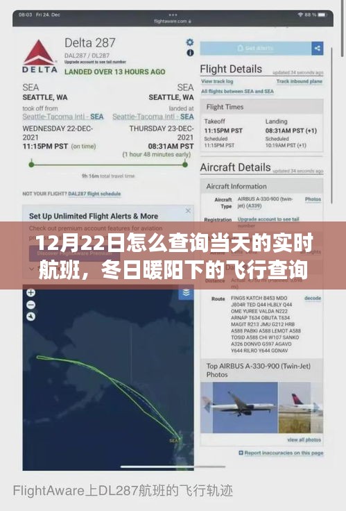 冬日暖阳下的实时航班查询之旅，与云端之约的朋友共赴飞行之旅