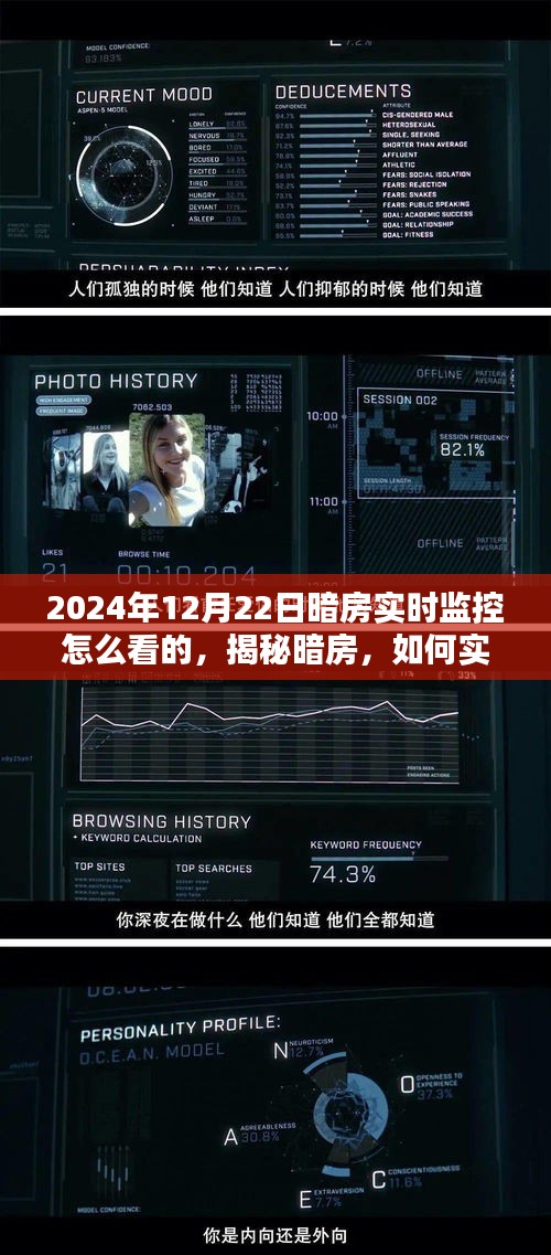 揭秘暗房实时监控，掌握监控技巧，洞悉暗房动态在2024年12月22日的操作指南