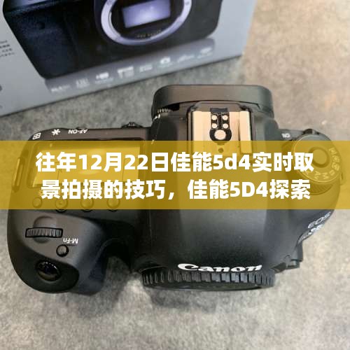 佳能5D4实时取景技巧，探索自然美景之旅，捕捉冬日静谧瞬间