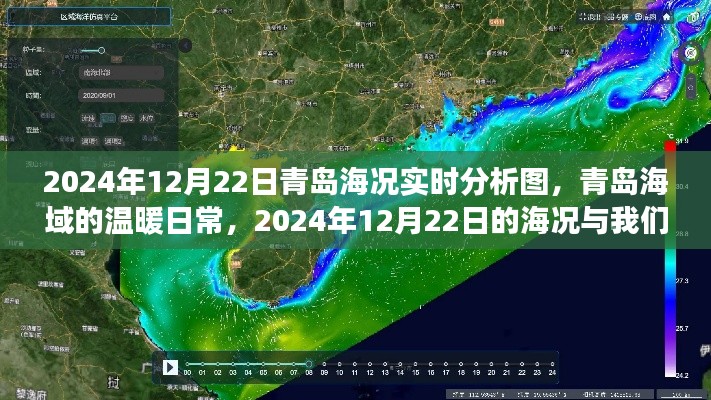 青岛海域温暖日常，2024年12月22日海况实时分析图与故事回顾