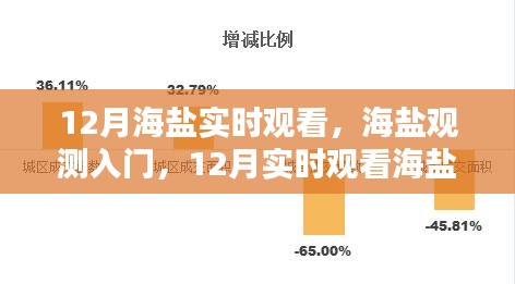 12月海盐观测入门与实时观看步骤指南