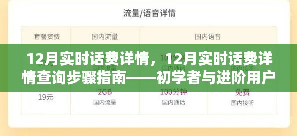 12月实时话费查询指南，详细步骤适用于初学者与进阶用户