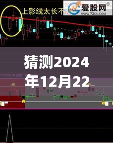 探索未来之旅，揭秘DDX指标启示录，预测与美景相遇的2024年12月22日