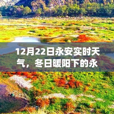 永安奇遇，冬日暖阳下的友情深化之旅，实时天气记录之旅