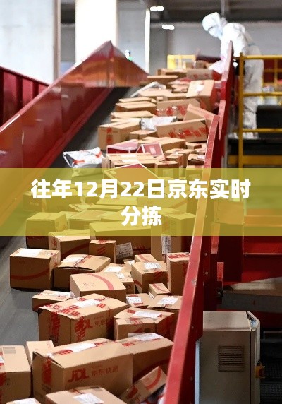 京东往年12月22日实时分拣速递高峰应对