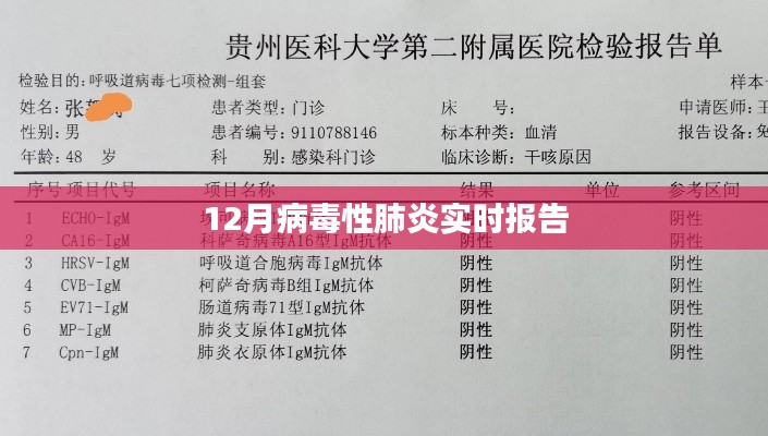 12月病毒性肺炎最新实时报告