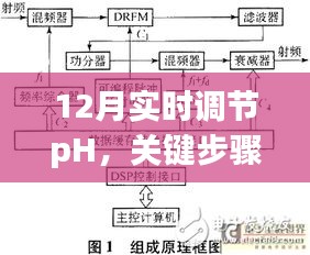 12月pH调节关键步骤及策略解析