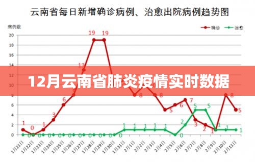 云南省肺炎疫情最新实时数据（12月）