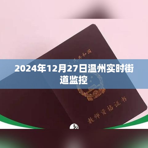 温州街道监控实时画面，2024年12月27日更新