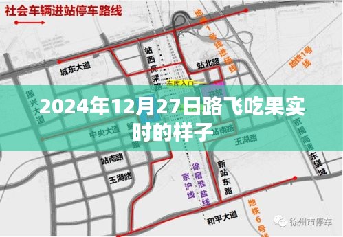 路飞果实觉醒瞬间，2024年12月27日震撼画面